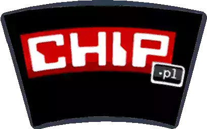 Chip